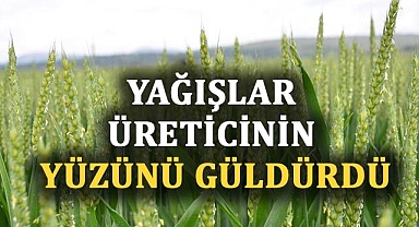 Yağışlar üreticinin yüzünü güldürdü