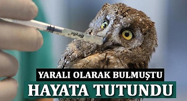 Yaralı olarak bulmuştu, hayata tutundu