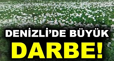 Denizli'de büyük darbe!