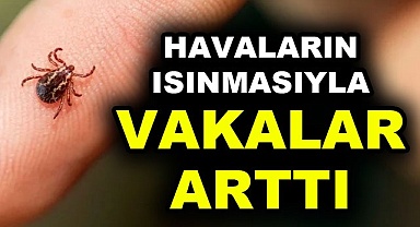 Havaların ısınmasıyla vakalar arttı