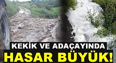 Kekik ve adaçayında hasar büyük!