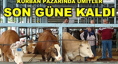 Kurban pazarında ümitler son güne kaldı