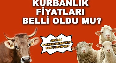 Kurbanlık fiyatları belli oldu mu?