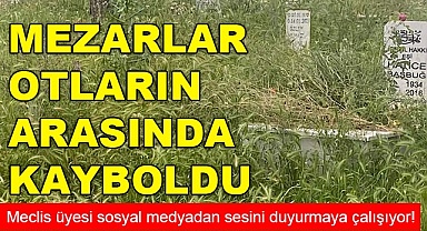 Mezarlar otların arasında kayboldu