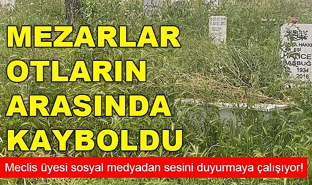 Mezarlar otların arasında kayboldu