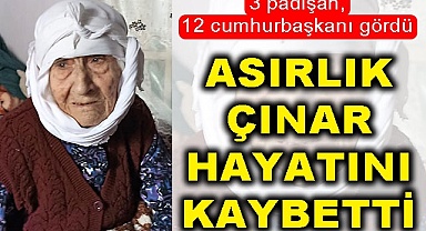 Asırlık çınar hayatını kaybetti
