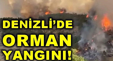 Denizli'de orman yangını!