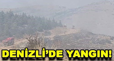 Denizli'de yangın!