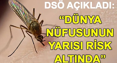 “Dünya nüfusunun yarısı risk altında”