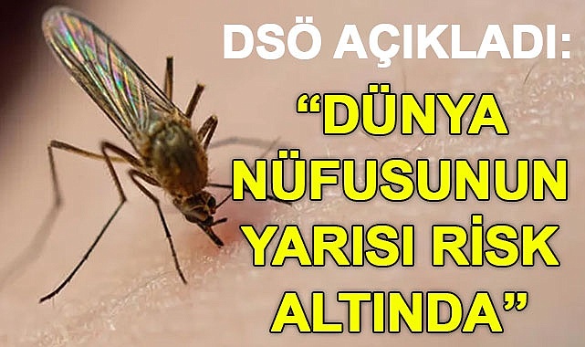 “Dünya nüfusunun yarısı risk altında”