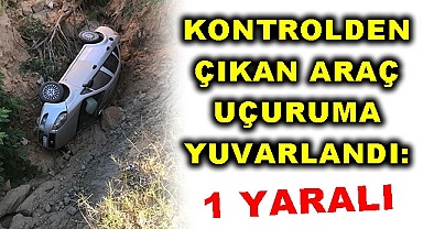 Kontrolden çıkan araç uçuruma yuvarlandı: 1 yaralı
