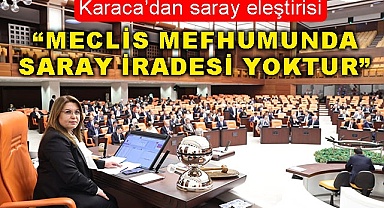  “Meclis mefhumunda saray iradesi yoktur”