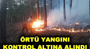 Örtü yangını kontrol altına alındı