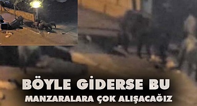 Aç kalan domuz sürücü şehre inip çöpleri karıştırdı