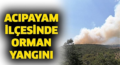Acıpayam’da orman yangını