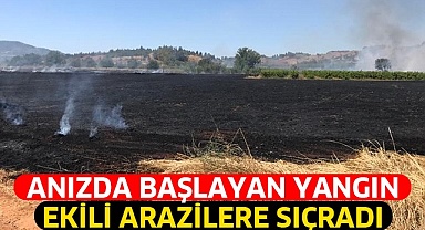 Anızda başlayan yangın ekili arazilere sıçradı