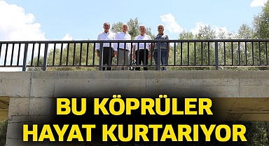 Bu köprüler hayat kurtarıyor