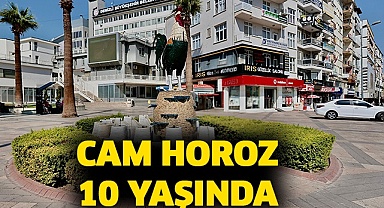 Cam horoz 10 yaşında