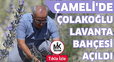 Çameli'de Çolakoğlu Lavanta Bahçesi Açıldı