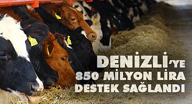 Denizli’ye 850 milyon lira destek sağlandı