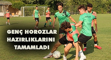 Genç horozlar, hazırlıklarını tamamladı