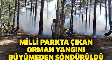 Milli parkta çıkan orman yangını büyümeden söndürüldü
