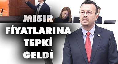 Mısır fiyatlarına tepki geldi