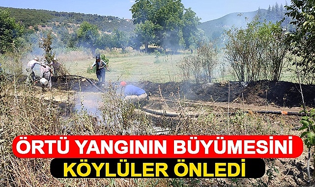 Örtü yangının büyümesini köylüler önledi