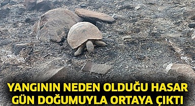 Yangının neden olduğu hasar gün doğumuyla ortaya çıktı