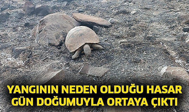 Yangının neden olduğu hasar gün doğumuyla ortaya çıktı
