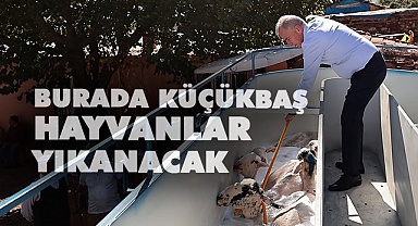 Burada küçükbaş hayvanlar yıkanacak