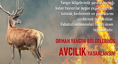 Çevrecilerin bu talebi karşılık bulmalı