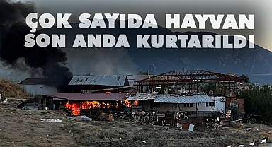 Çiftlikteki samanlar alev alev yandı