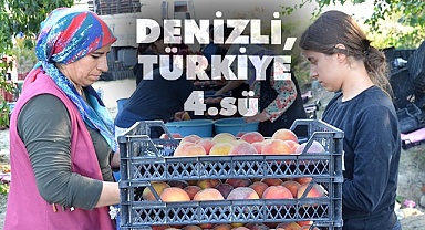 Denizli, şeftali üretiminde Türkiye dördüncüsü