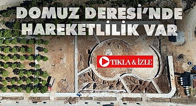 Domuz Deresi’nde hareketlilik var