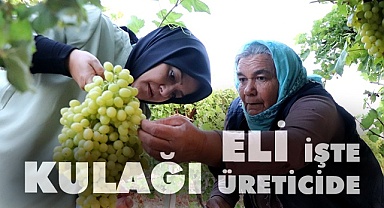 Eli işte kulağı üreticilerde