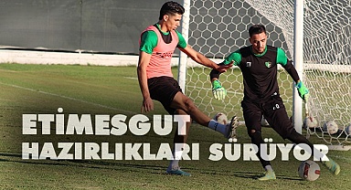 Horozlarda Etimesgut mesaisi sürüyor