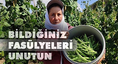 Huzurlarınızda meşhur Çameli fasulyesi