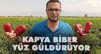 Kapya biber Acıpayam'ın yüzünü güldürüyor