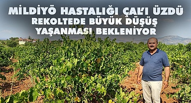 Mildiyö hastalığı Çal’ı üzdü
