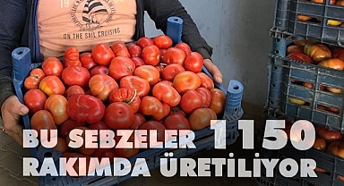Organik ürünleri ege pazarında talep görüyor