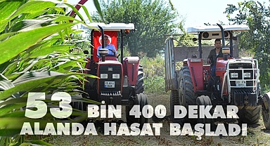 Silajlık mısır hasadı sürüyor