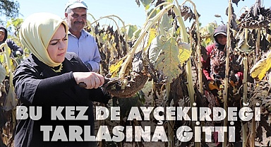 Tarlaları gezmeye ve dert dinlemeye devam ediyor