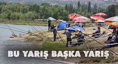 Bu yarış başka yarış