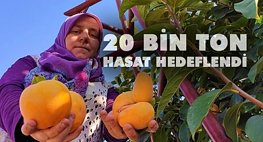 Cennet hurmasında hasat zamanı geldi