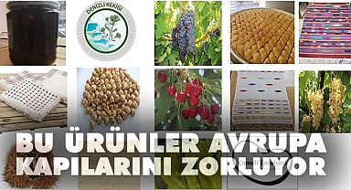 Coğrafi işaret alan ürünler Avrupa’ya açıyor