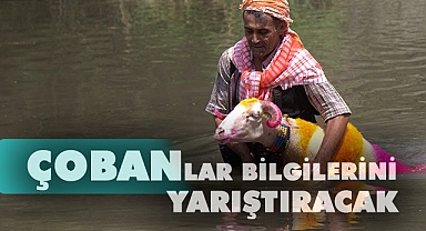Denizli'de çobanlar yarışacak