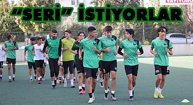 Genç horozlar seri peşinde