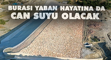 Güzelyurt HİS Göledi yaban hayatına can suyu olacak