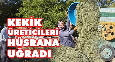 Kekik üreticilerinin yüzü asık